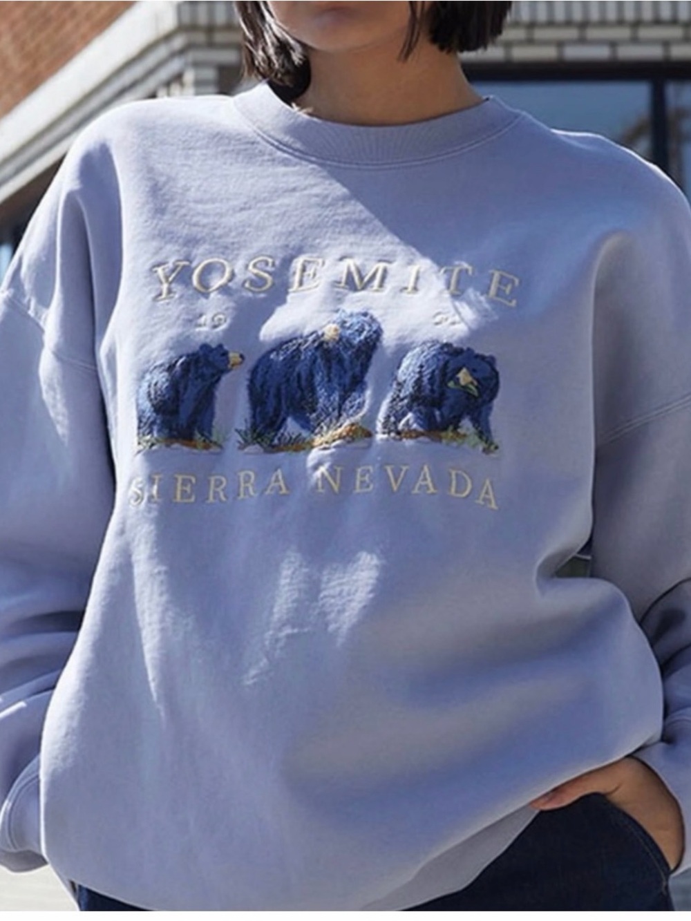 Brandy Melville womans Yosemite Crewneck Sweatshirt- S